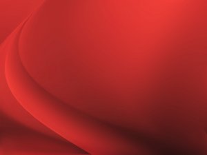 打造高效外汇结算团队的经验分享